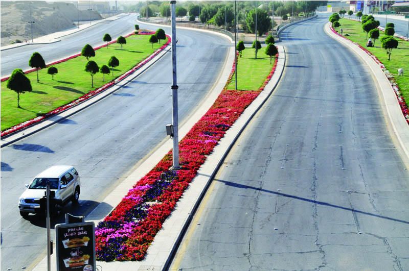 Dubai Road Landscaping