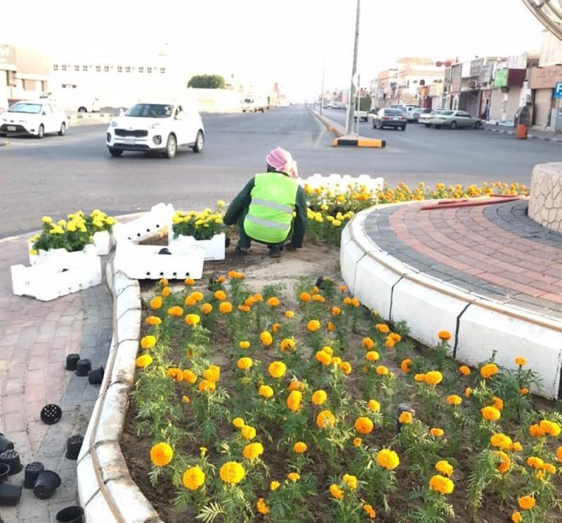 Marigold Roundabout