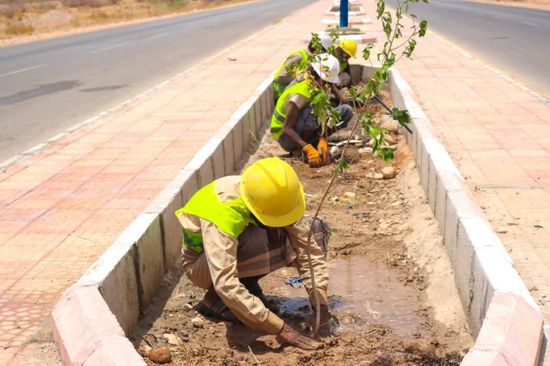Tree Planting